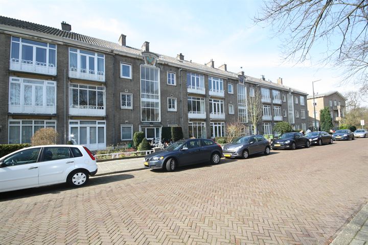 Bekijk foto 18 van Thérèse Schwartzestraat 100