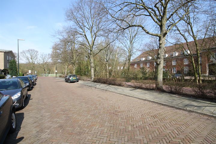 Bekijk foto 20 van Thérèse Schwartzestraat 100