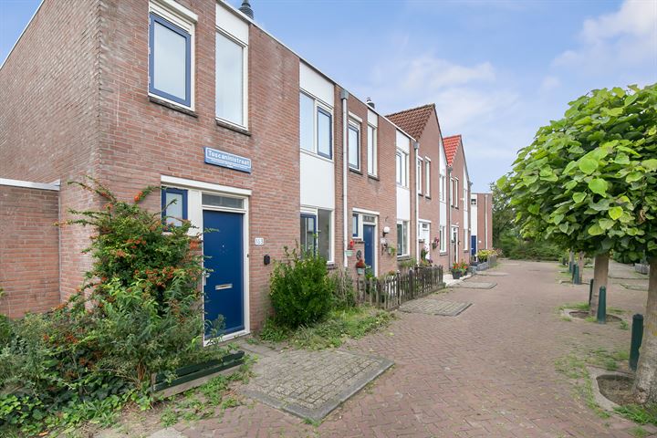 Bekijk foto 30 van Toscaninistraat 163