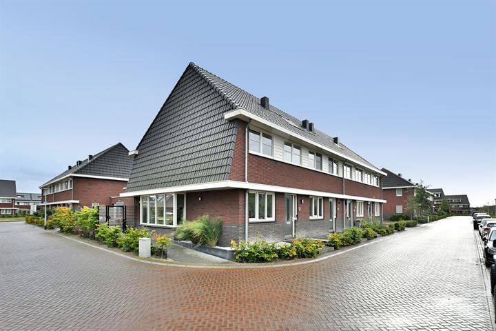 Bekijk foto 38 van Rhenoystraat 4