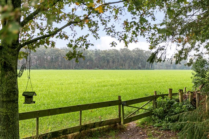 Bekijk foto 4 van Karelsdijk 2-A21