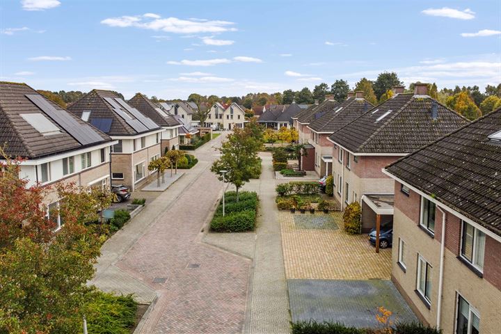 Bekijk foto 44 van Vuurdoorn 12-A