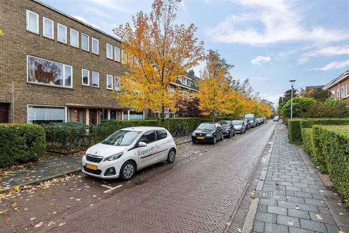 Bekijk foto 43 van Van Hamelstraat 33