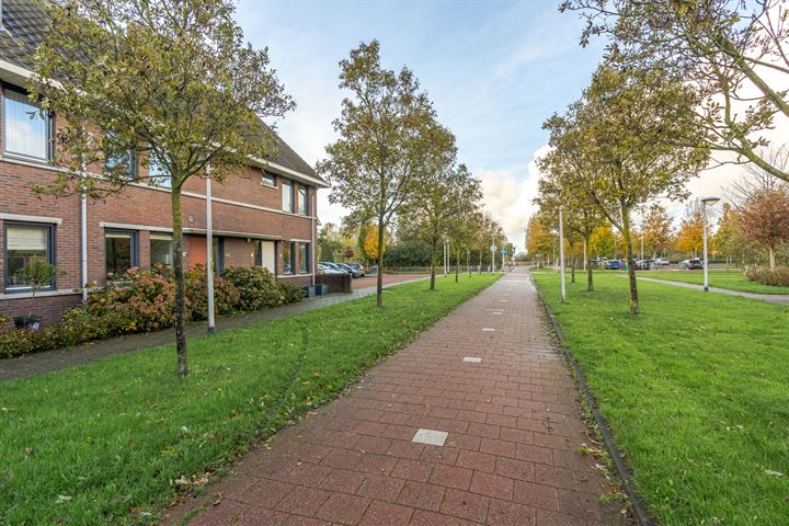 Bekijk foto 3 van Veldmuis 44