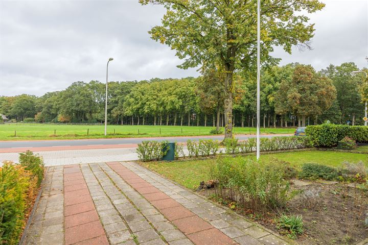 Bekijk foto 40 van Enterstraat 174