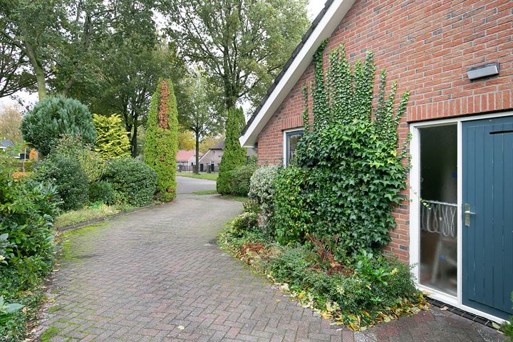 Bekijk foto 44 van de Beukers 1