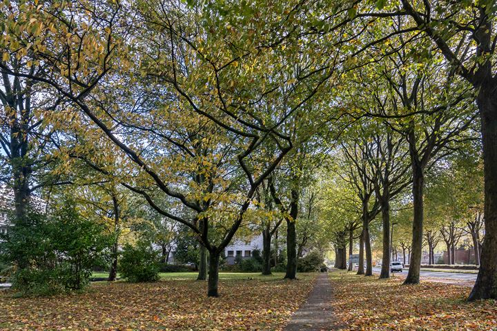 Bekijk foto 44 van Kaap Hoorn 54