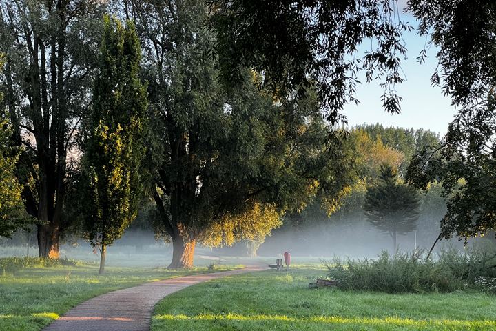 Bekijk foto 47 van Clusiusstraat 4