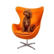 Sammy - De snuffel stagiaire - Afdeling Buitendienst