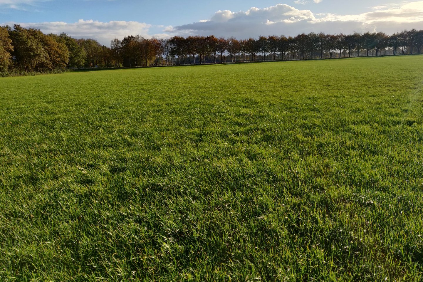 Bekijk foto 4 van Tolweg nabij 10