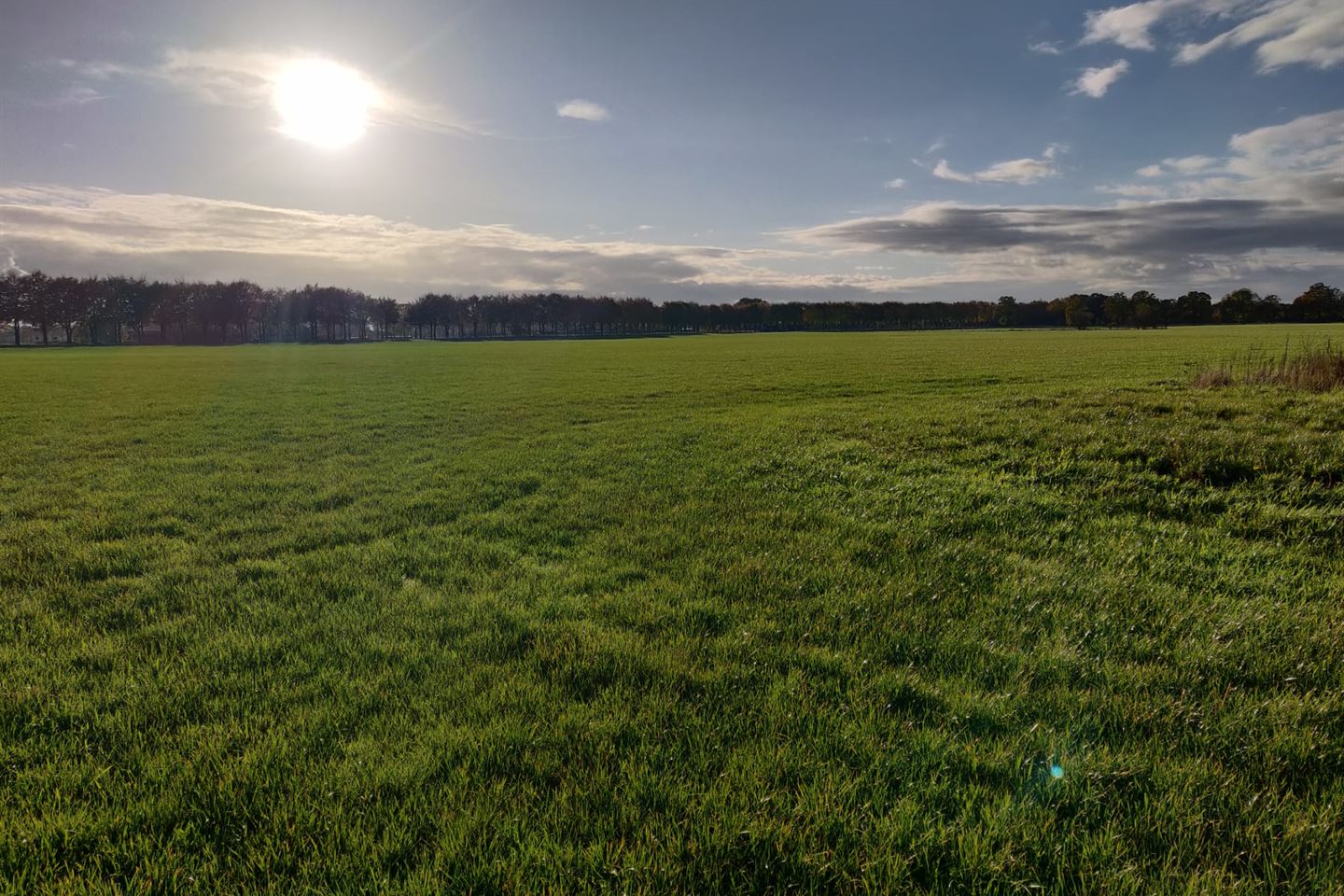 Bekijk foto 1 van Tolweg nabij 10