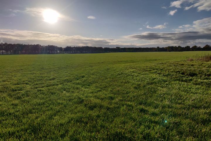 Tolweg nabij 10, Holten