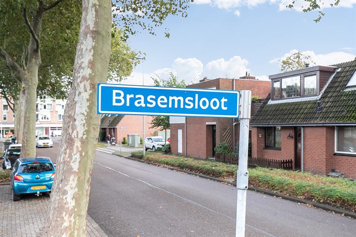 Bekijk foto 60 van Brasemsloot 12