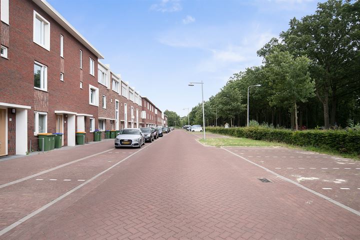 Bekijk foto 32 van Mantingerzand 7