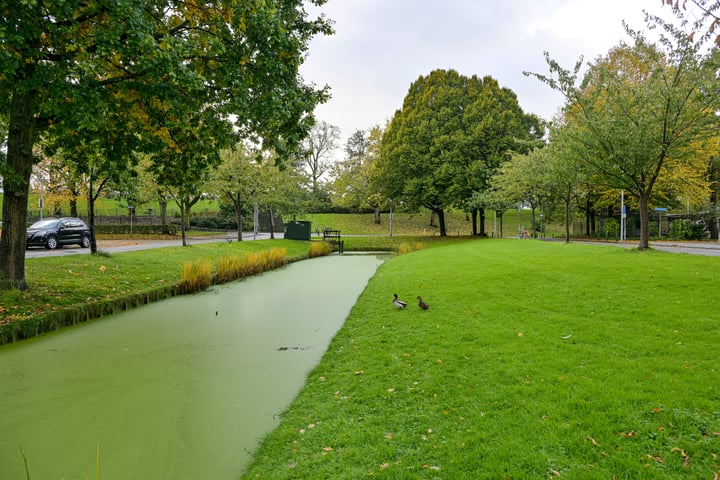 View photo 32 of Pasteursingel 67-B