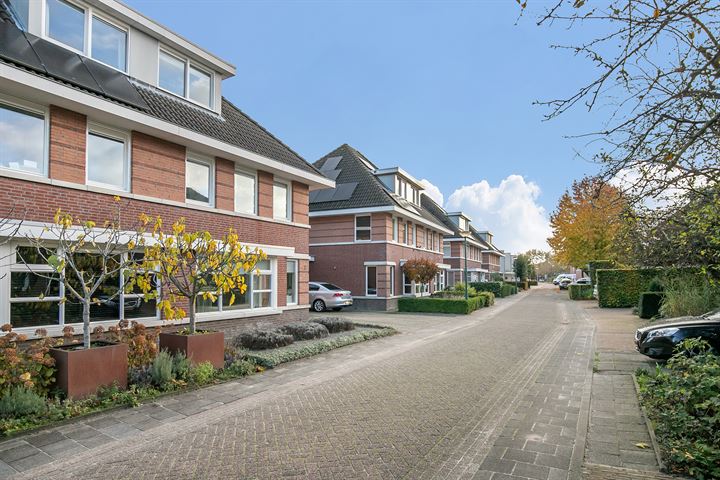 View photo 40 of Straatweide 3