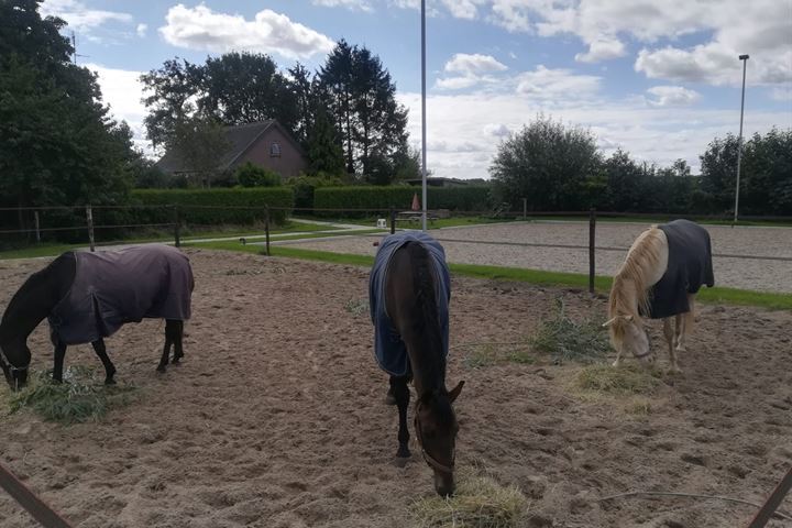 Bekijk foto 35 van Kloosterdijk 106