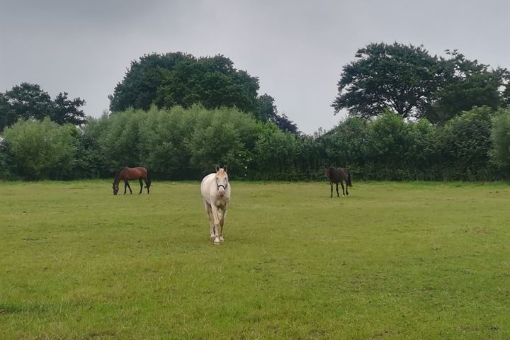 Bekijk foto 43 van Kloosterdijk 106