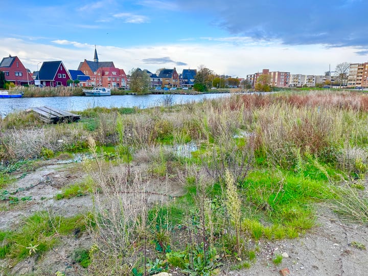 Foto 1 van Concordiastraat