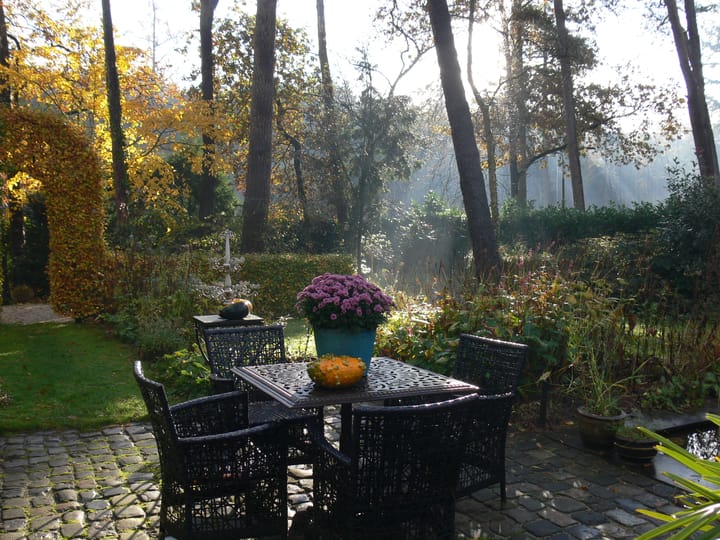 undefined main image