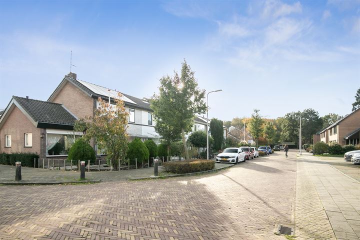 Bekijk foto 36 van Amalia van Solmsstraat 14