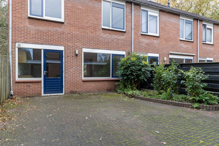 Bekijk foto 26 van Kruizemuntstraat 1009