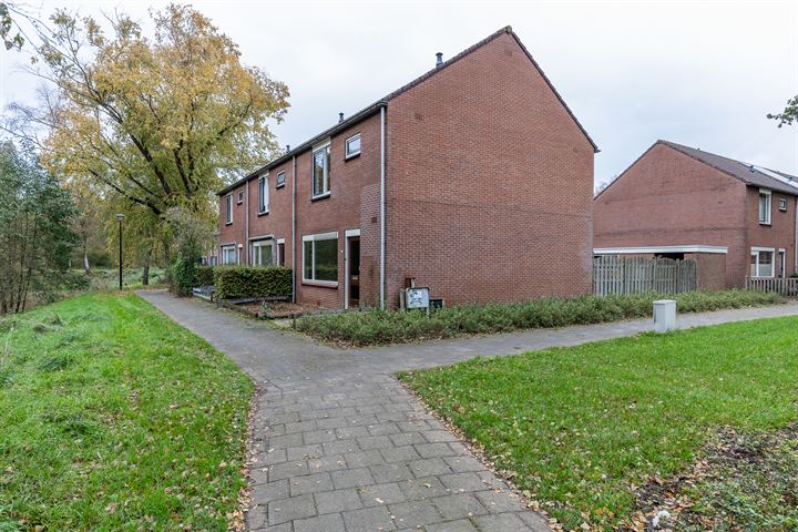 Bekijk foto 30 van Kruizemuntstraat 1009