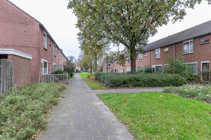 Bekijk foto 29 van Kruizemuntstraat 1009