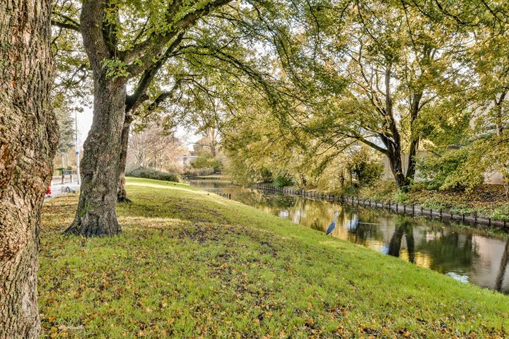 Bekijk foto 19 van Tholenseweg 50