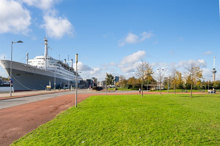 Bekijk foto 65 van Maashavenkade 135