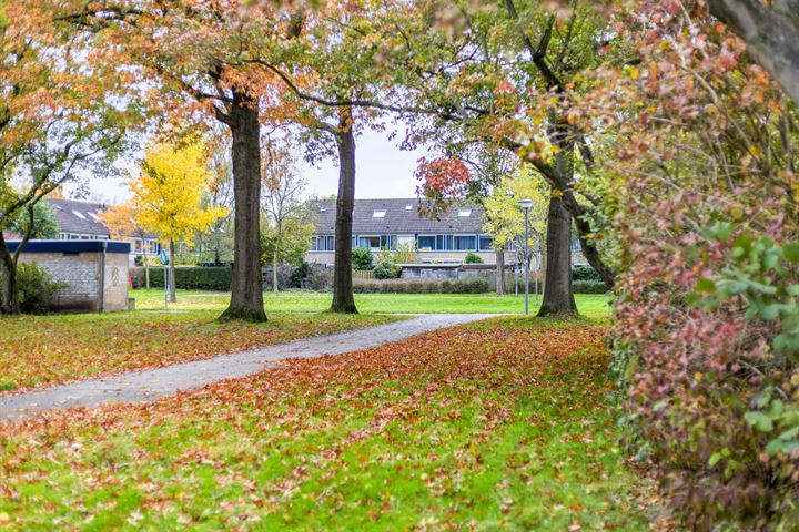 Bekijk foto 33 van Achtste Buitenpepers 29