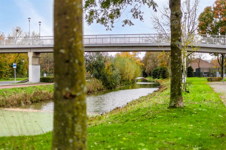 Bekijk foto 36 van Achtste Buitenpepers 29