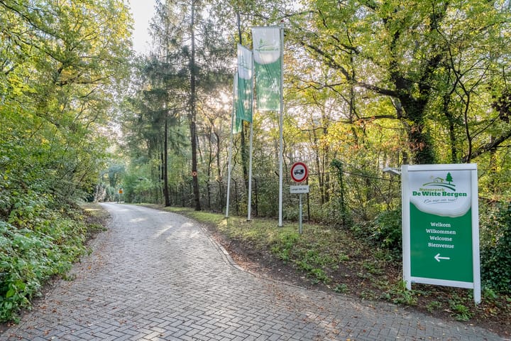 Foto 2 van De Witte Bergen 38