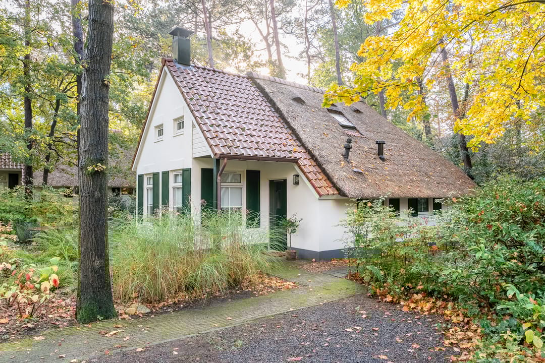 Photo 1 of De Witte Bergen 38