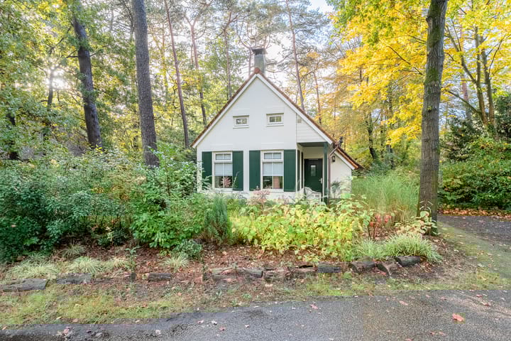 Foto 4 van De Witte Bergen 38