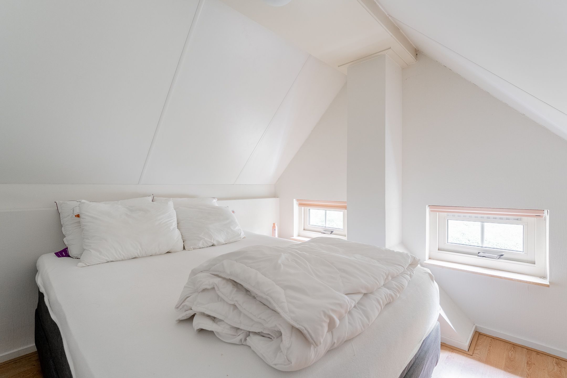 Photo 21 of De Witte Bergen 38