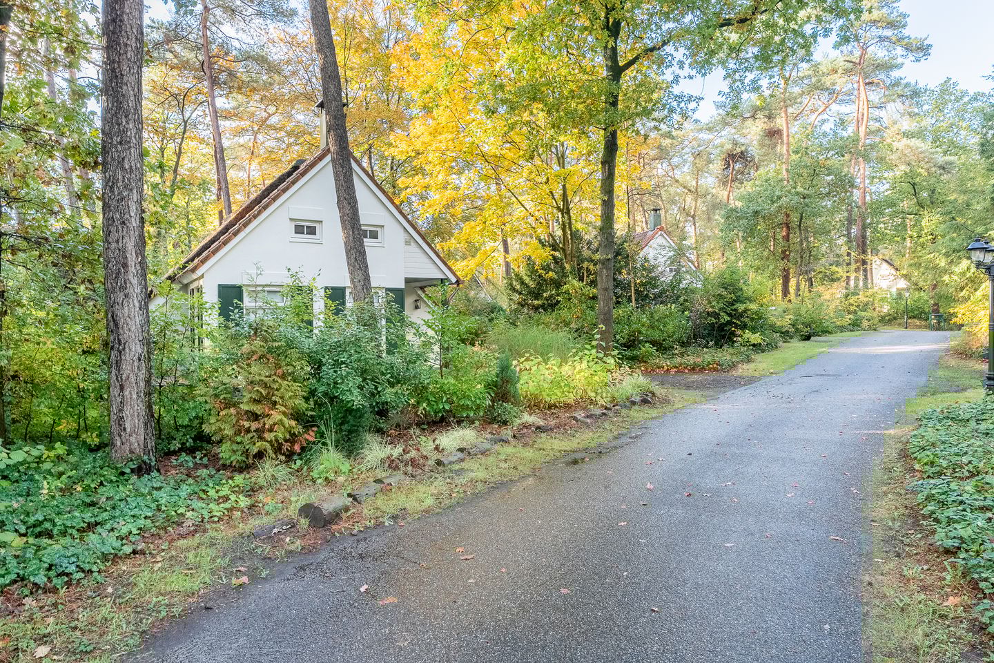 Photo 5 of De Witte Bergen 38