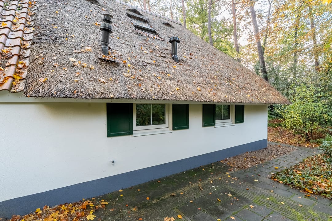 Photo 26 of De Witte Bergen 38