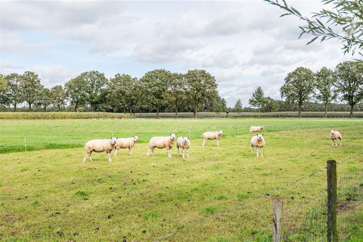 Bekijk foto 40 van Steverinkstraat 77-B