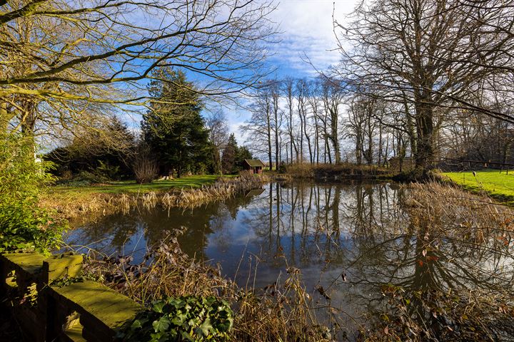 Bekijk foto 31 van Kadijk 7