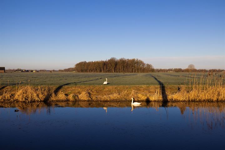 Bekijk foto 35 van Kadijk 7