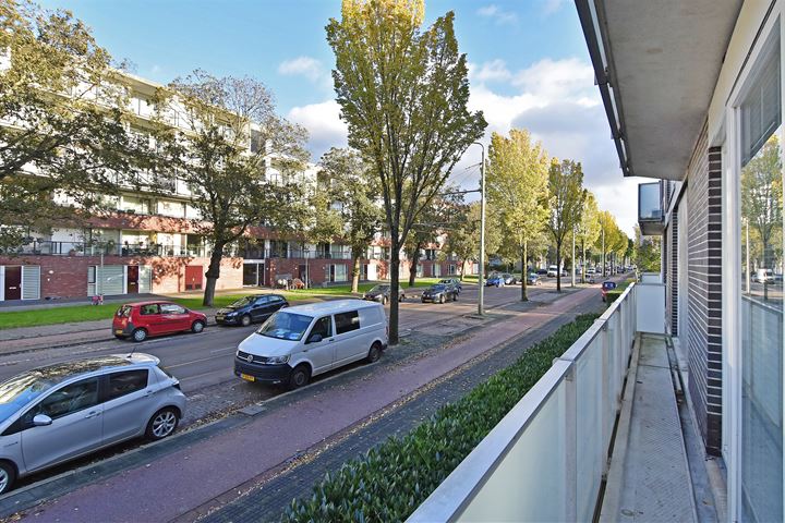 Bekijk foto 33 van Dedemsvaartweg 509