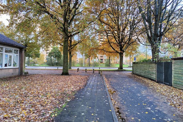 Bekijk foto 59 van Hogeweg 104