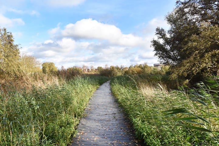 Bekijk foto 38 van Meersingel 4