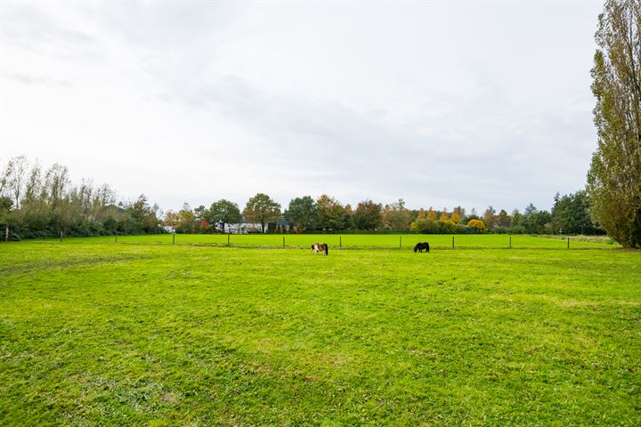 Bekijk foto 18 van Boekelderweg 2