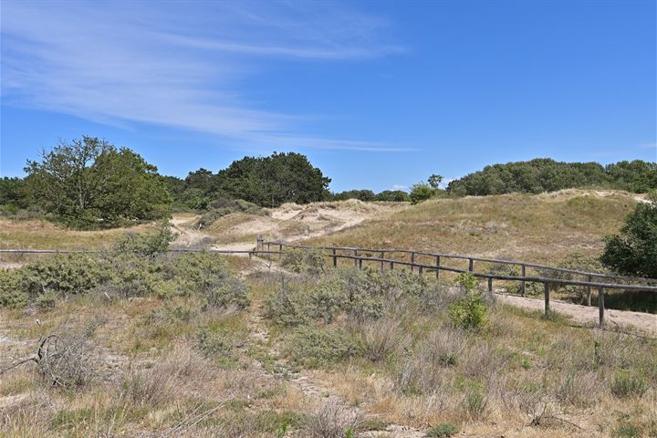 Bekijk foto 47 van Waalsdorperweg 167