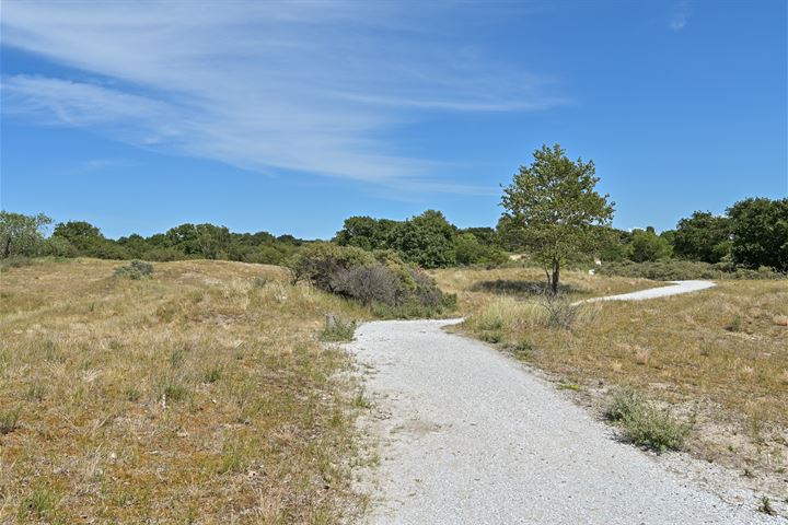 Bekijk foto 49 van Waalsdorperweg 167