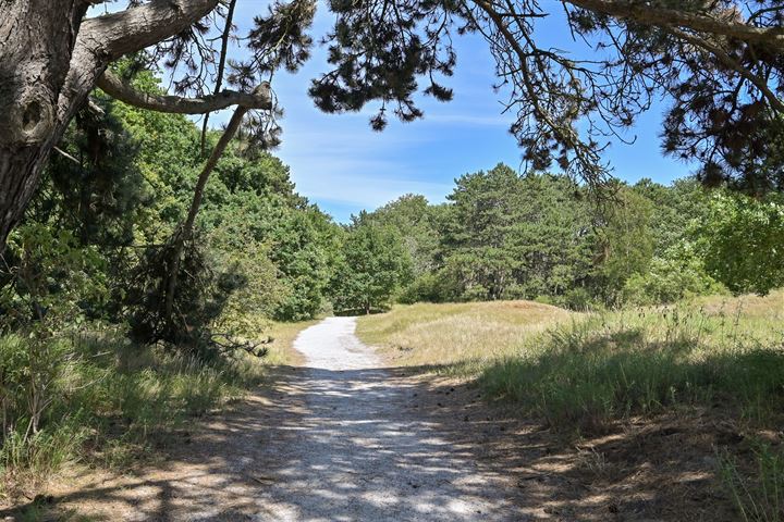 Bekijk foto 48 van Waalsdorperweg 167