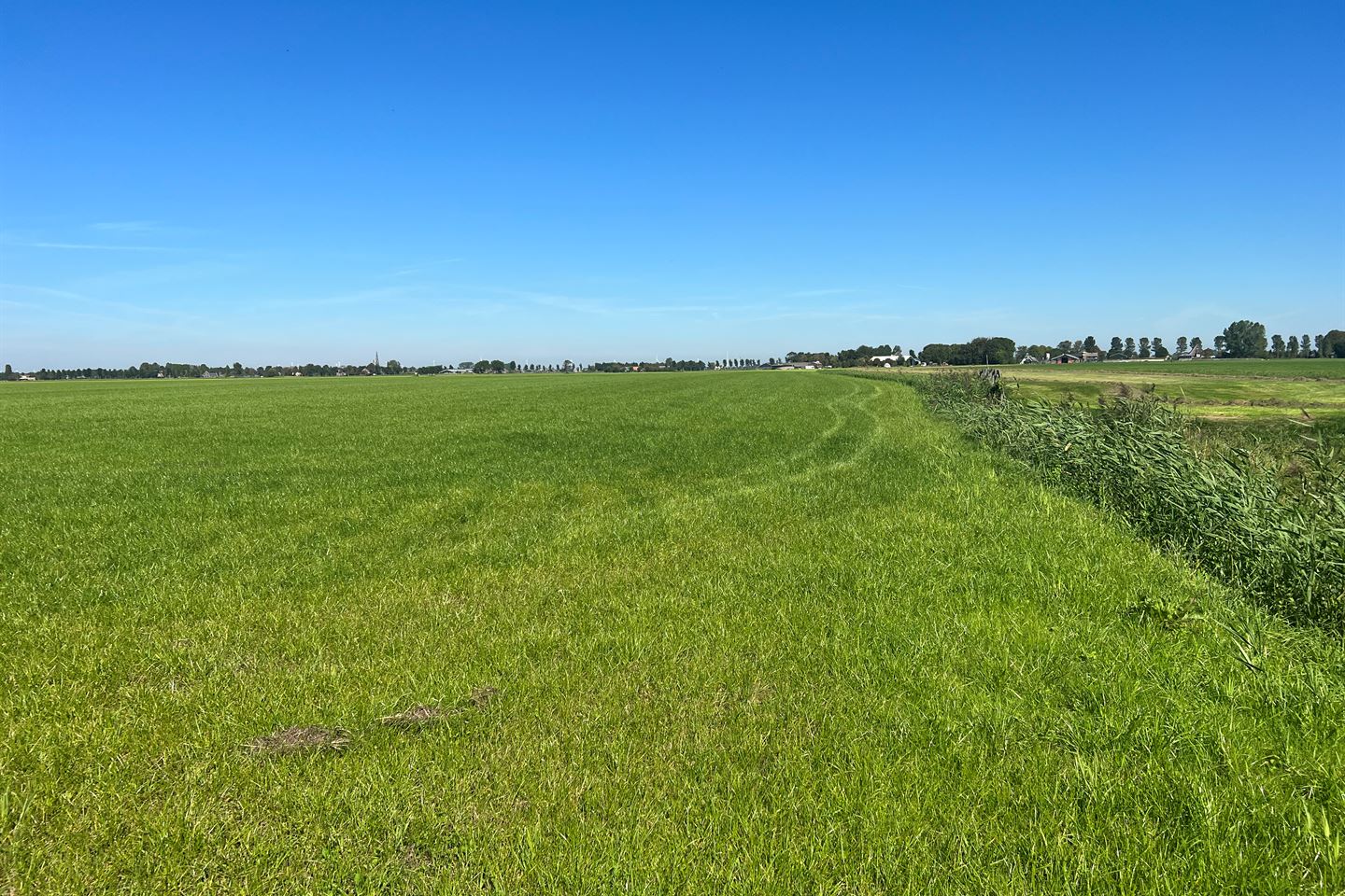 Bekijk foto 5 van Zomerdijk