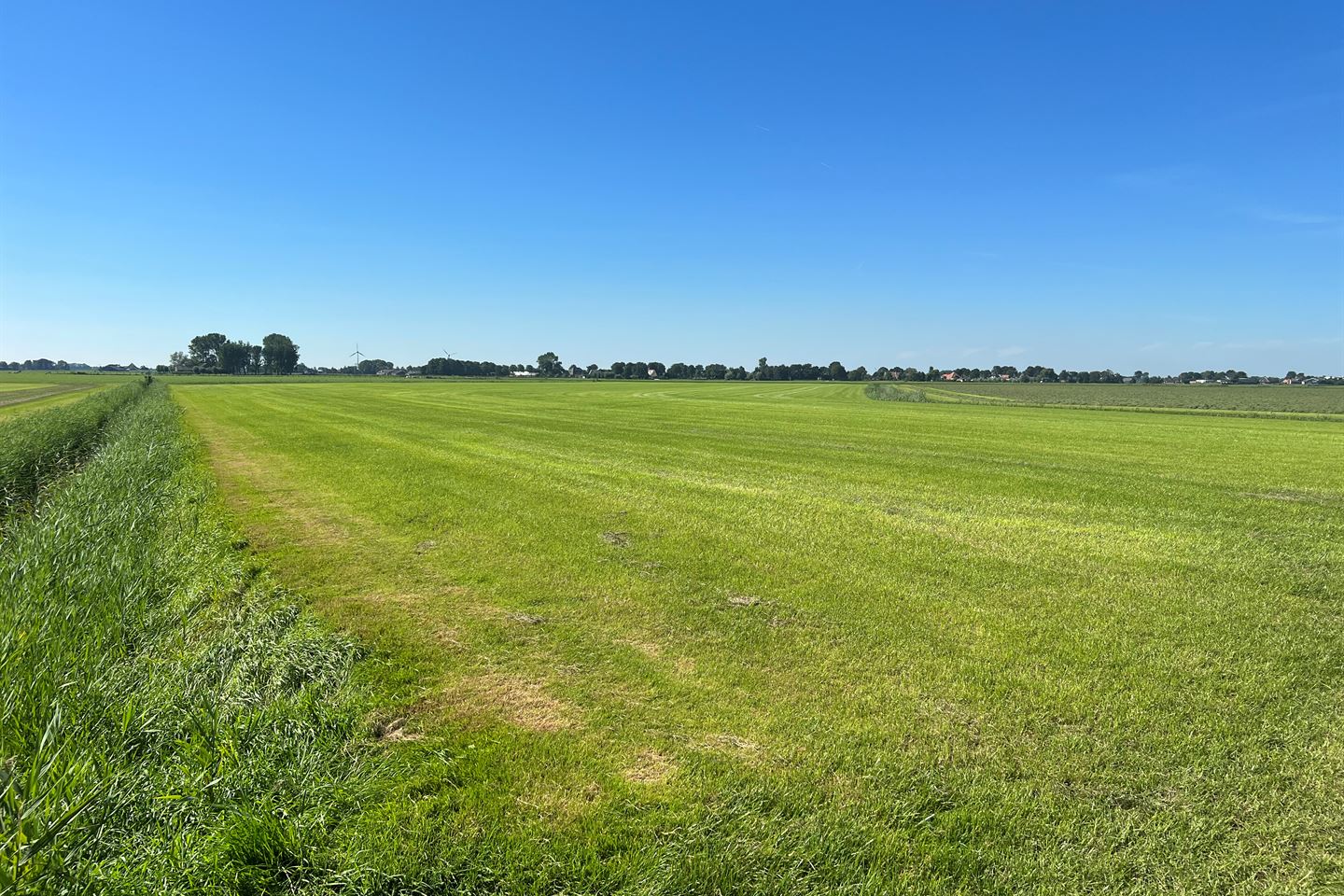 View photo 3 of Zomerdijk